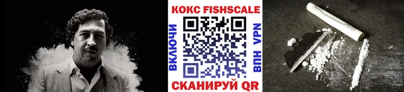Cocaine Fish Scale  купить   Тейково 