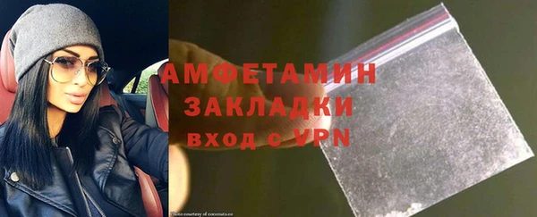хмурый Магас