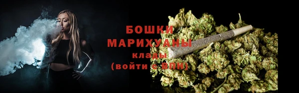 хмурый Магас