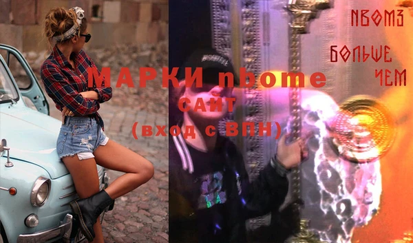 хмурый Магас