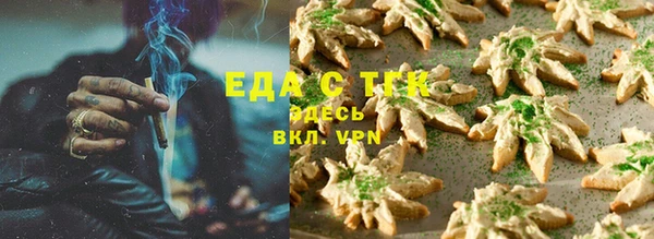 хмурый Магас
