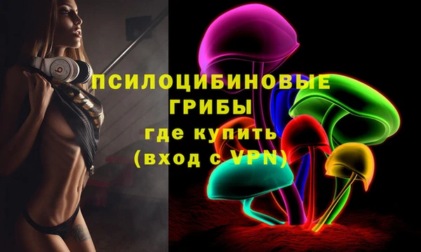 первитин Ладушкин