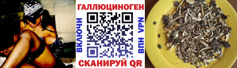 Галлюциногенные грибы Psilocybine cubensis  площадка Telegram  Тейково  закладка 