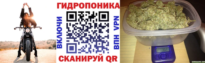 Бошки марихуана сатива  Тейково 